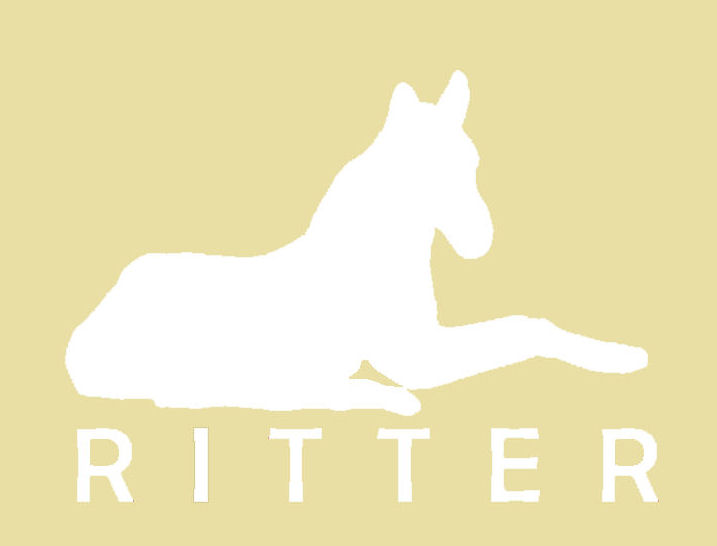 Logo auf Hintergrund Webpage